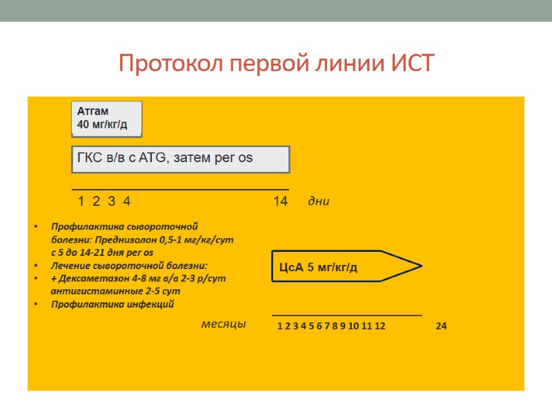Протокол первой линии ИСТ Атгам 40 мг/кг/д ГКС в/в с ATG, затем per os